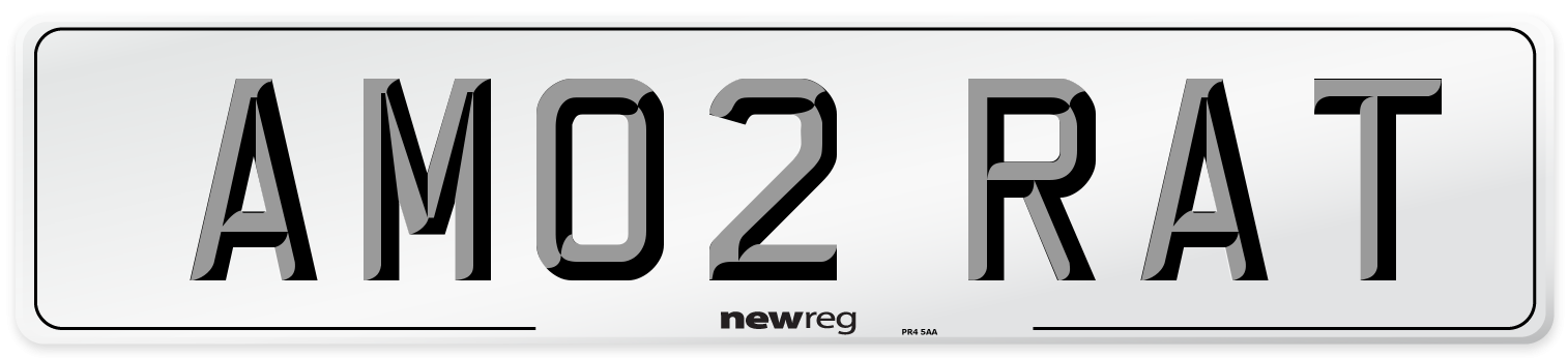 AM02 RAT Number Plate from New Reg